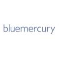 bluemercury, inc.