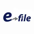save more with E-File US
