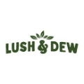 LUSH & DEW deal